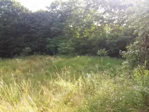 Vând teren, Jud. Vâlcea, dist.7kilomotri. - imagine 4