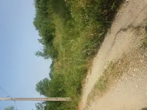 Vând teren, Jud. Vâlcea, dist.7kilomotri. - imagine 5