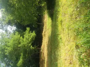 Vând teren, Jud. Vâlcea, dist.7kilomotri. - imagine 6