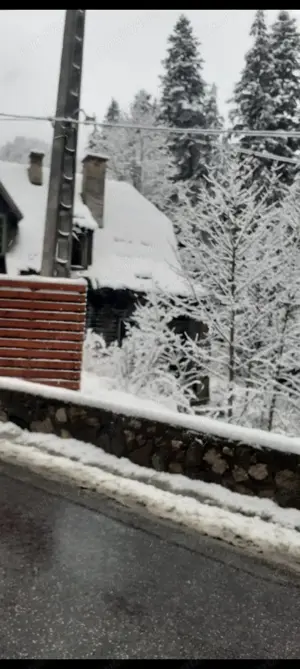 Teren de vanzare in statiunea Lacu Rosu - imagine 4