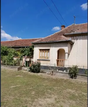 Oportunitate!!! Casă 3 camere, teren 5050 mp, comuna Craidorolț, SM - imagine 2