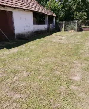 Oportunitate!!! Casă 3 camere, teren 5050 mp, comuna Craidorolț, SM - imagine 7