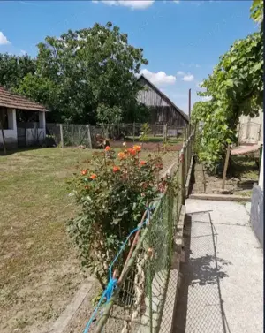 Oportunitate!!! Casă 3 camere, teren 5050 mp, comuna Craidorolț, SM - imagine 3