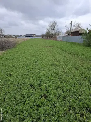 Teren intravilan ptr.constructie  Depozite,Hale