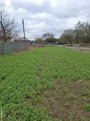 Teren intravilan ptr.constructie  Depozite,Hale - imagine 2