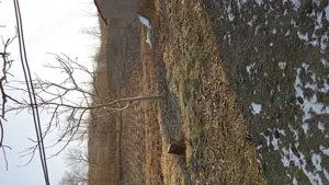 Casa batrănească de vânzare 3 camere - imagine 4