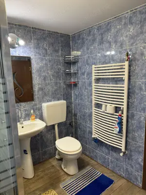 Casă nouă + teren 4000 mp în Șipet, la 40 km de Timișoara, utilități complete - imagine 6