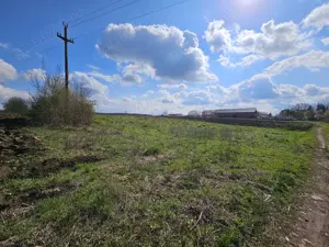 Teren de vanzare Snagov Sat langa padure