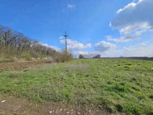 Teren de vanzare Snagov Sat langa padure - imagine 2