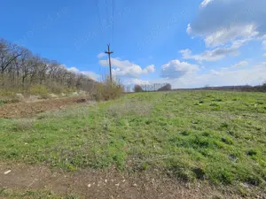 Teren de vanzare Snagov Sat langa padure - imagine 3