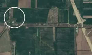 Ultimele 2 loturi Clinceni-Ordoreanu 2x1100mp - imagine 4