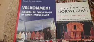manual, dictionar limba norvegian 