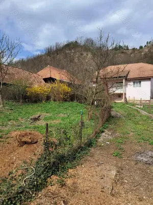 Casa de vanzare Treznea - imagine 3