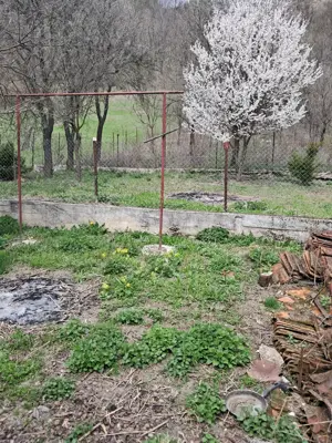 Casa de vanzare Treznea - imagine 4