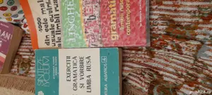 manuale exercitii rus, dictionare, gramatica