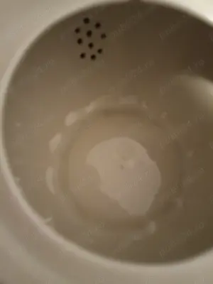 Ceainic portelan fin german Tielsch-Altwasser de la 1900 - imagine 3