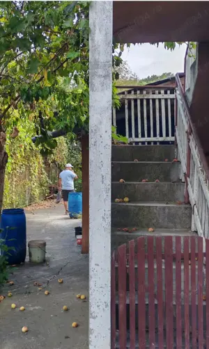 Vând casă cu etaj in localitatea Lăpușnic  - imagine 8