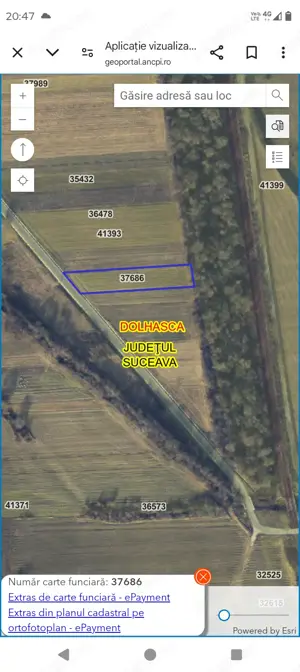 Teren extravilan Probota oraș Dolhasca la asfalt - imagine 2