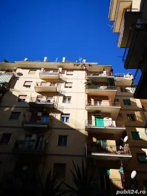 Alpinist Utilitar amenajari exterioare  - imagine 3