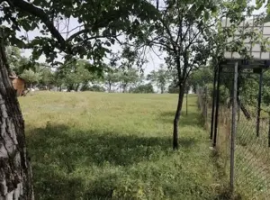 Vând teren 1471mp pentru casă la Silagiu  - imagine 3