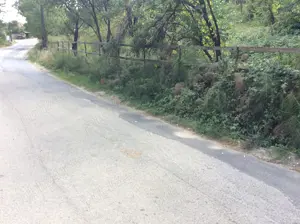 Teren de vinzare in Cheia(Olanesti) - imagine 3