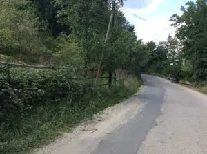 Teren de vinzare in Cheia(Olanesti)