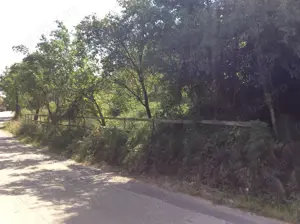 Teren de vinzare in Cheia(Olanesti) - imagine 2