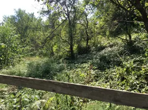 Teren de vinzare in Cheia(Olanesti) - imagine 6