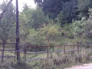 Teren de vinzare in Cheia(Olanesti) - imagine 4