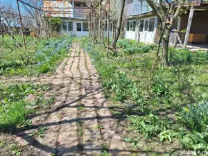 A  24 case  10000 mp  teren Seciuieni Bacău  - imagine 5