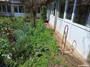 A  24 case  10000 mp  teren Seciuieni Bacău