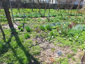 A5  Vila Calea Moinești spre vanzare