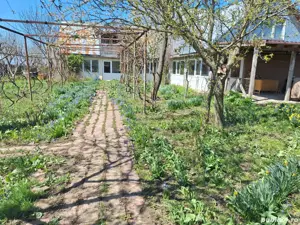 A  24 case  10000 mp  teren Seciuieni Bacău  - imagine 6