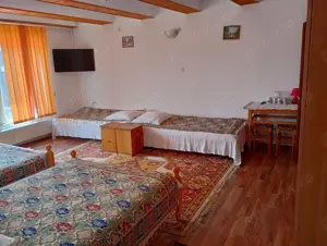 Pensiunea Irina Zarnesti  - imagine 2