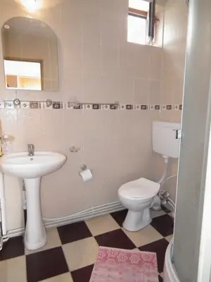 Pensiunea Irina Zarnesti  - imagine 5