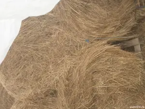 Baloti rotunzi fan 120x120