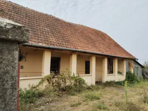 Casa veche din 1955 si teren intravilan 6153 mp,Localitate Sinersig ,jud Timis - imagine 6