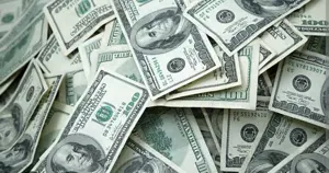 Se cauta fete Olanda si Elvetia