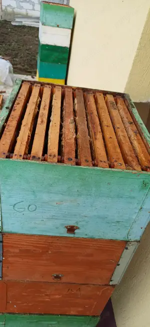 Vând cutii caturi albine