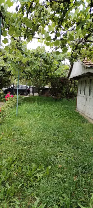 Vând casă cu gradina la Bodeștii de sus,str.Ciresului nr. 12. - imagine 9