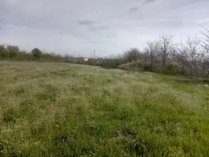 Teren 2500mp cu ieșire la lac - imagine 4