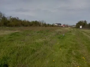 Teren 2500mp cu ieșire la lac - imagine 2