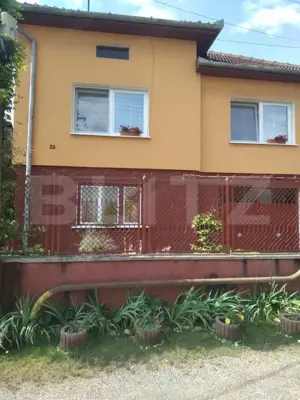 CASĂ CU VEDERE CĂTRE CASTELUL CORVINILOR – EXCLUSIVITATE BLITZ – COMISION 0%