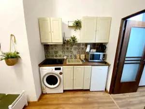 Ultracentral, 1 camera, decomandat, renovat, centrala proprie, POZITIE EXCELENTA - imagine 6