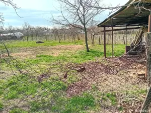 vând casa in comuna Lipovu jud Dolj - imagine 5 vând casa in comuna Lipovu jud Dolj - imagine 5