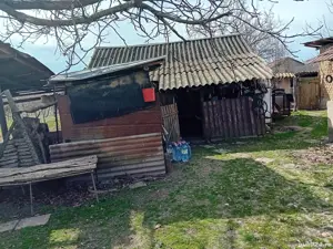 vând casa in comuna Lipovu jud Dolj - imagine 4 vând casa in comuna Lipovu jud Dolj - imagine 4