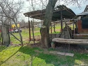 vând casa in comuna Lipovu jud Dolj - imagine 2 vând casa in comuna Lipovu jud Dolj - imagine 2