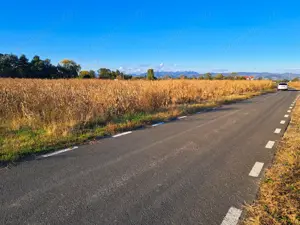 Teren extravilan arabil 7.526 mp (poate fi trecut in intravilan) in Satul Bacia din Comuna Bacia, HD