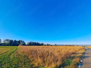 Teren extravilan arabil 7.526 mp (poate fi trecut in intravilan) in Satul Bacia din Comuna Bacia, HD - imagine 2