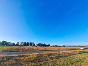 Teren extravilan arabil 7.526 mp (poate fi trecut in intravilan) in Satul Bacia din Comuna Bacia, HD - imagine 3